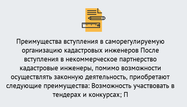 Почему нужно обратиться к нам? Сафоново Что дает допуск СРО кадастровых инженеров?