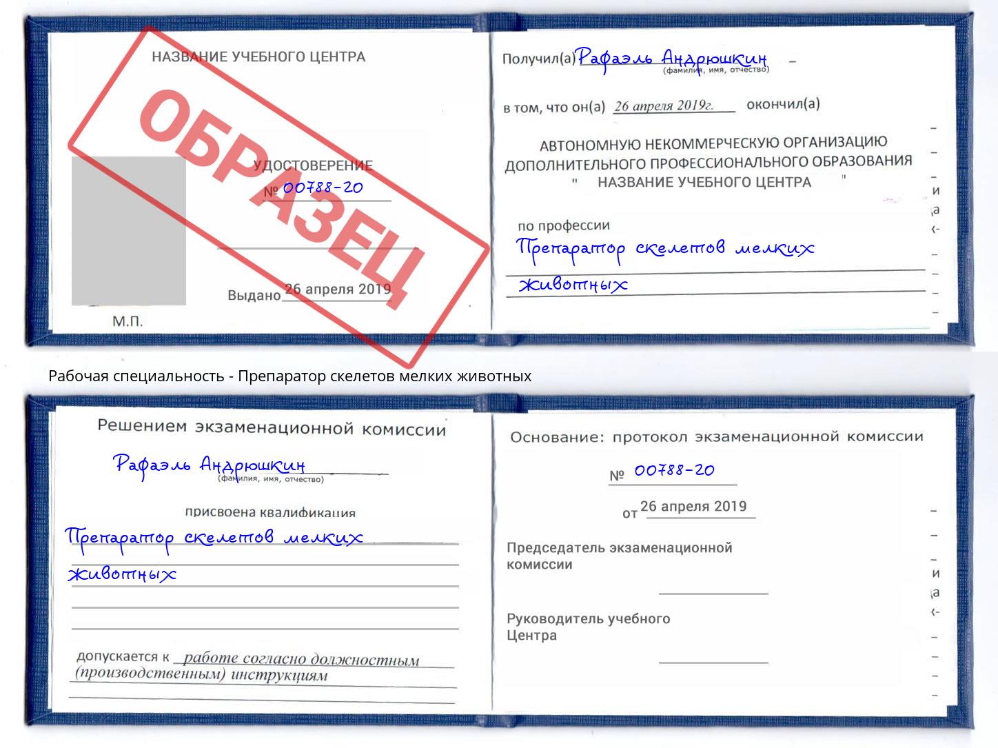Препаратор скелетов мелких животных Сафоново