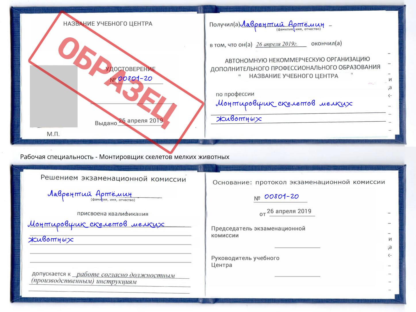 Монтировщик скелетов мелких животных Сафоново
