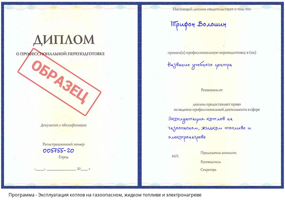 Эксплуатация котлов на газоопасном, жидком топливе и электронагреве Сафоново