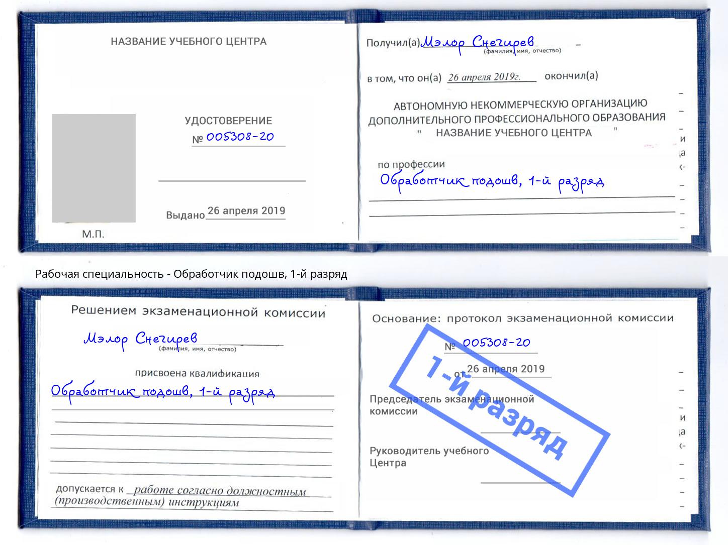корочка 1-й разряд Обработчик подошв Сафоново